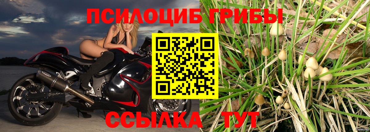 Галлюциногенные грибы Psilocybine cubensis  Вход с VPN  Каменск-Уральский  Псилоцибиновые грибы прущие грибы 
